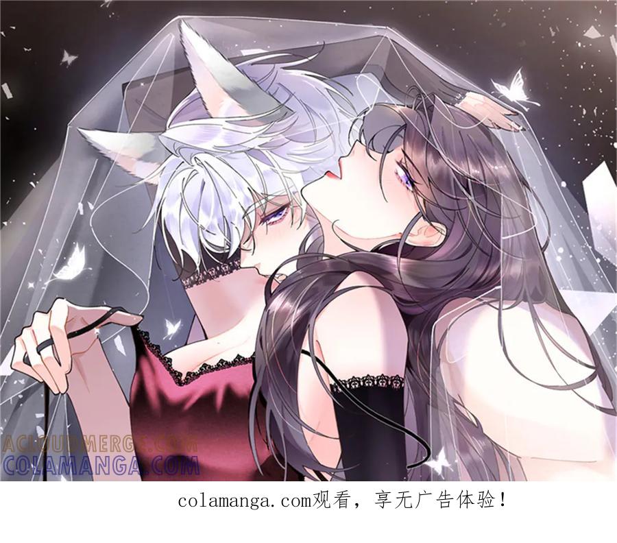 《白天被逃婚晚上被奶凶指挥官求抱抱》111 真是捡到宝了 第1页