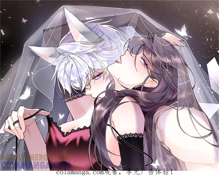 《白天被逃婚晚上被奶凶指挥官求抱抱》113 还有这种意思？ 第1页