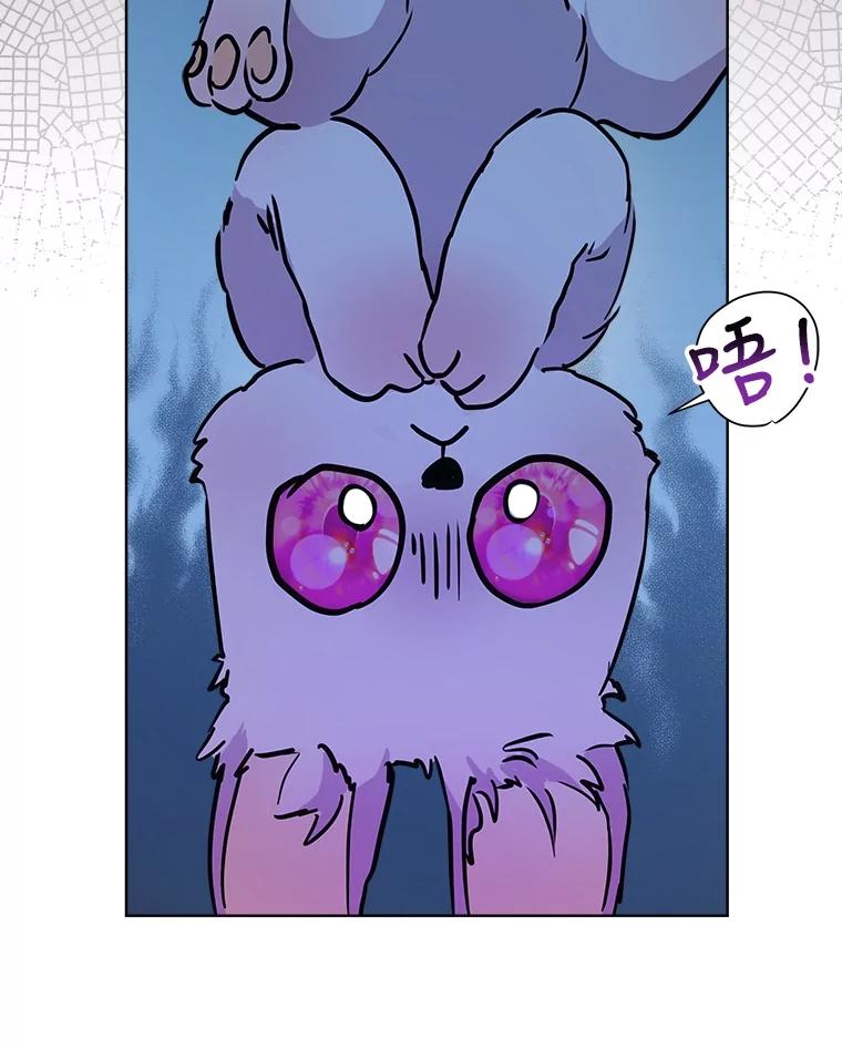 重生为神兽宝宝 - 3.魔法师 - 第83张图