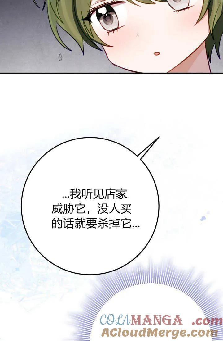 《成为即将灭亡家族的合约女儿》第28话 第40页
