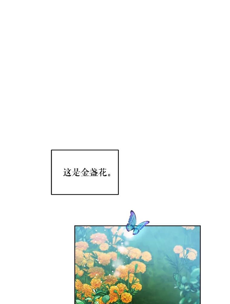 重生为神兽宝宝 - 33.巴希拉 - 第18张图