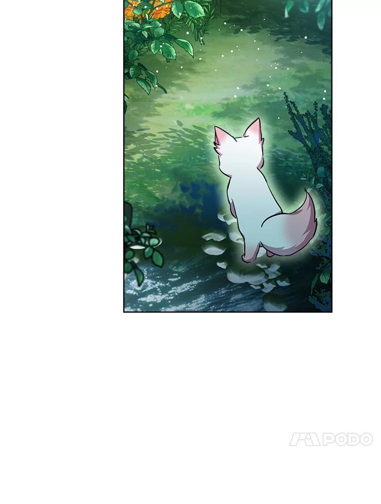 重生为神兽宝宝 - 33.巴希拉 - 第19张图