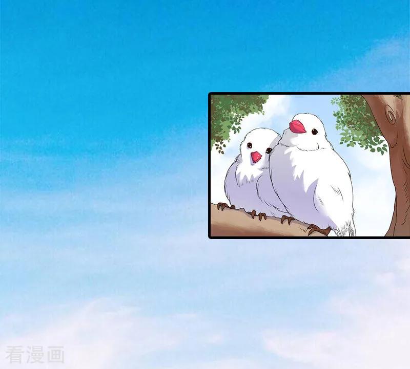 《傲娇冷男攻略记》第11话 你是我秘书 第2页