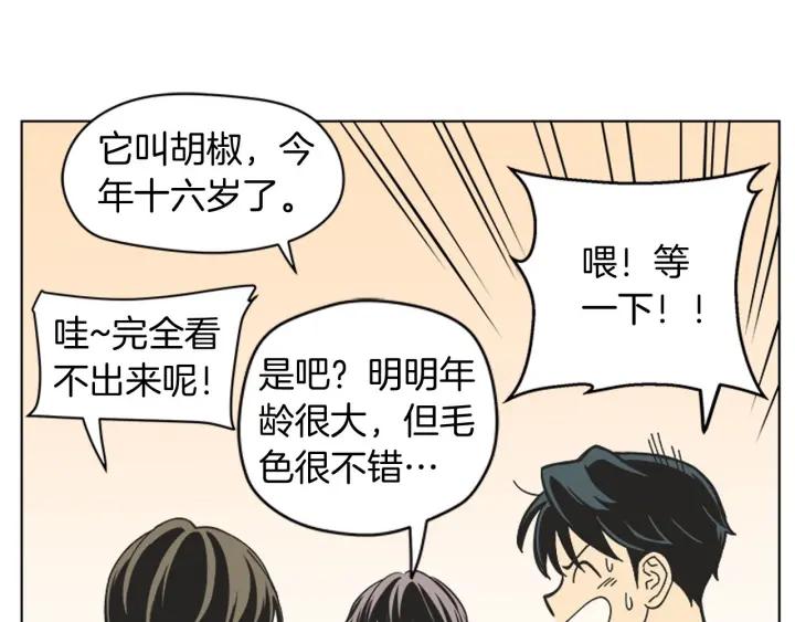 《不能恋爱的房间》第79话 多管闲事 第71页