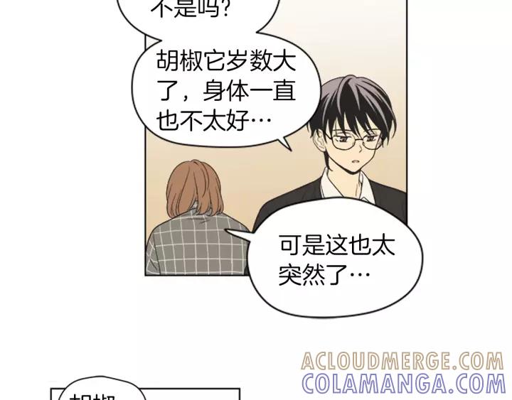 《不能恋爱的房间》第82话 有始有终 第41页