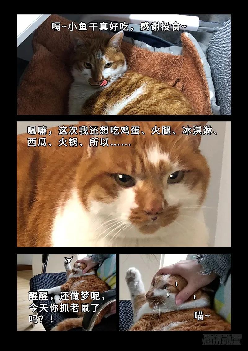 我是大神仙 第196话 ·多管闲事 第16页