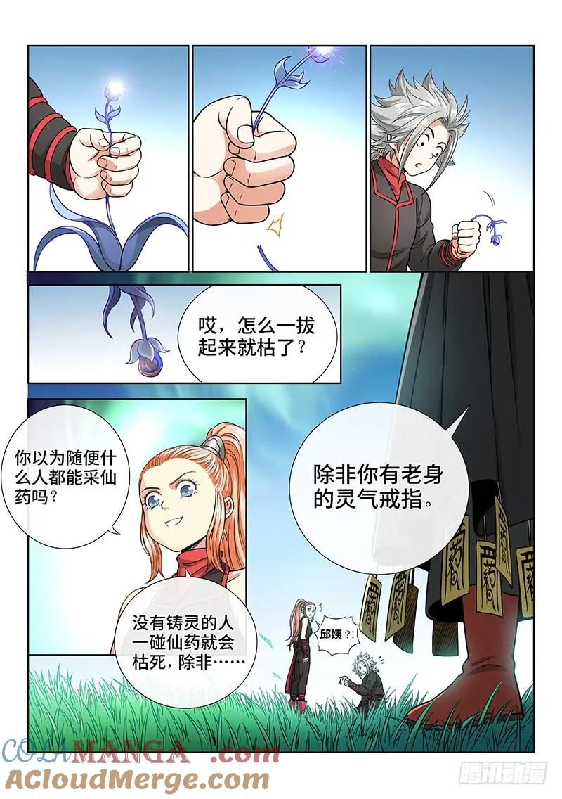 我是大神仙 第55话 ·仙药与赌约 第12页