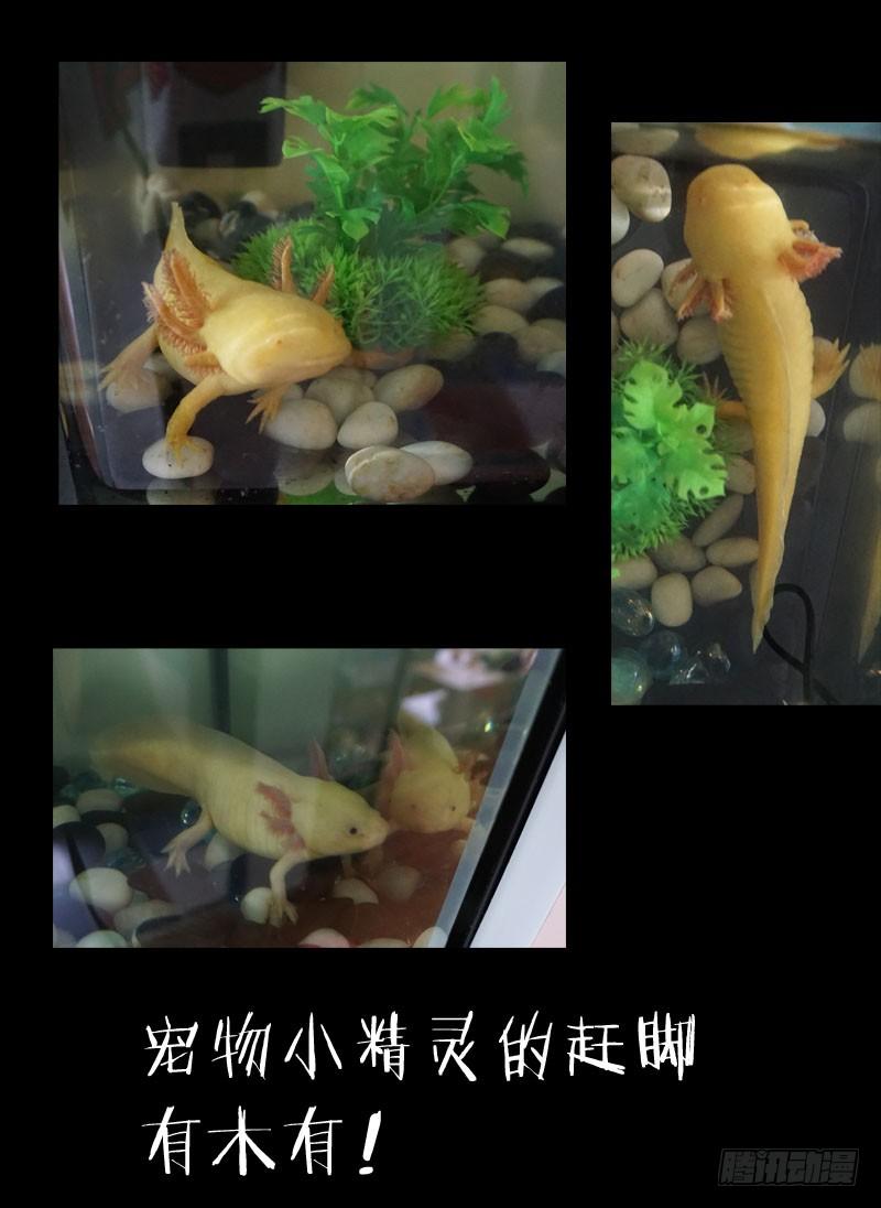 《我是废柴》9.线索2 第10页