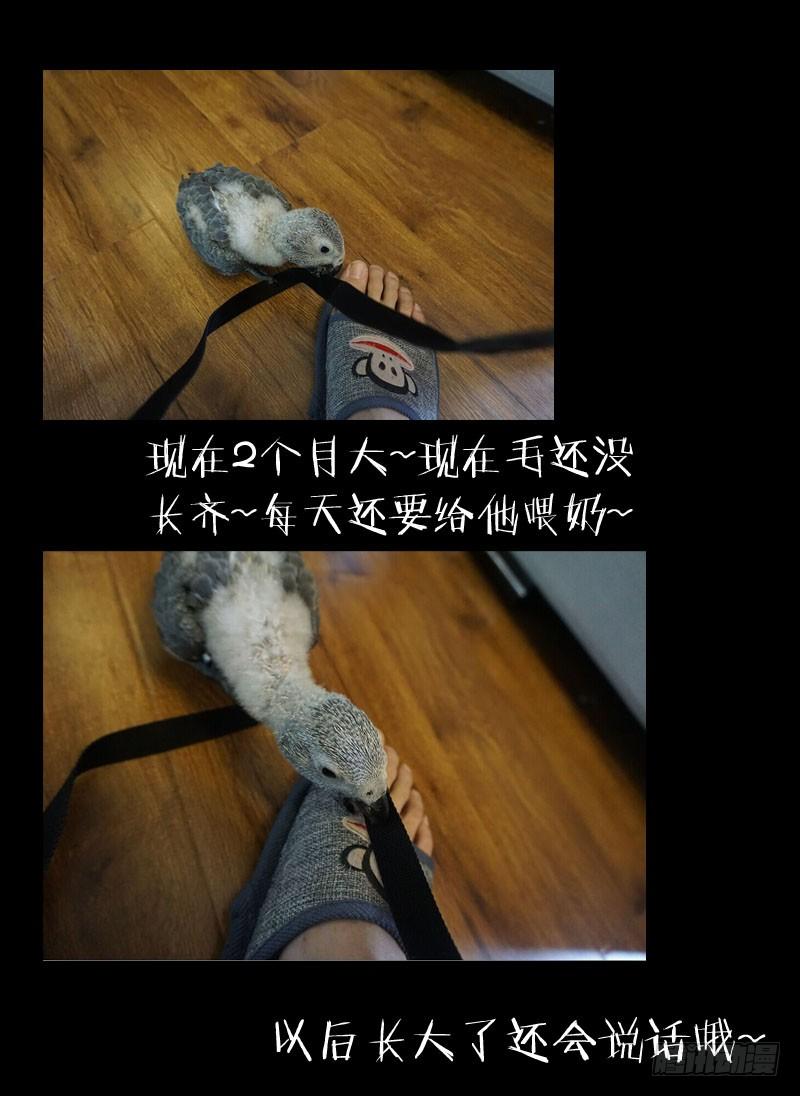 《我是废柴》10.杀戮 第10页