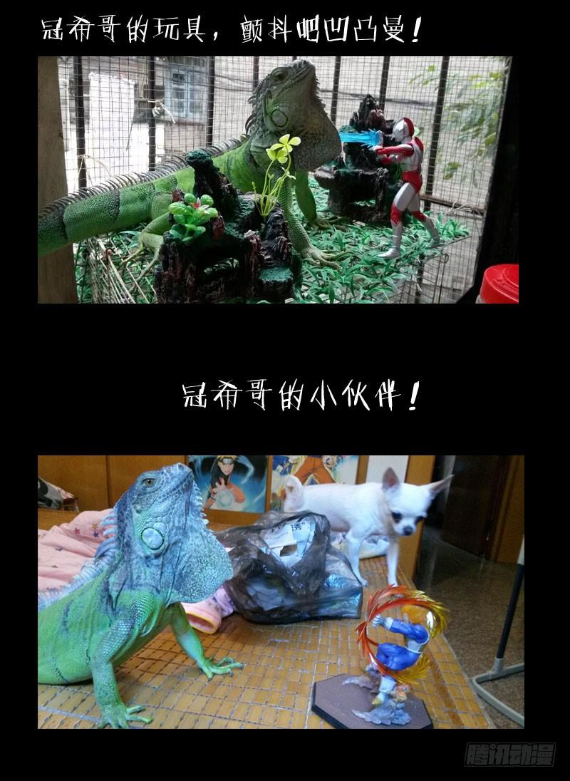 《我是废柴》4.白慧真身 第14页