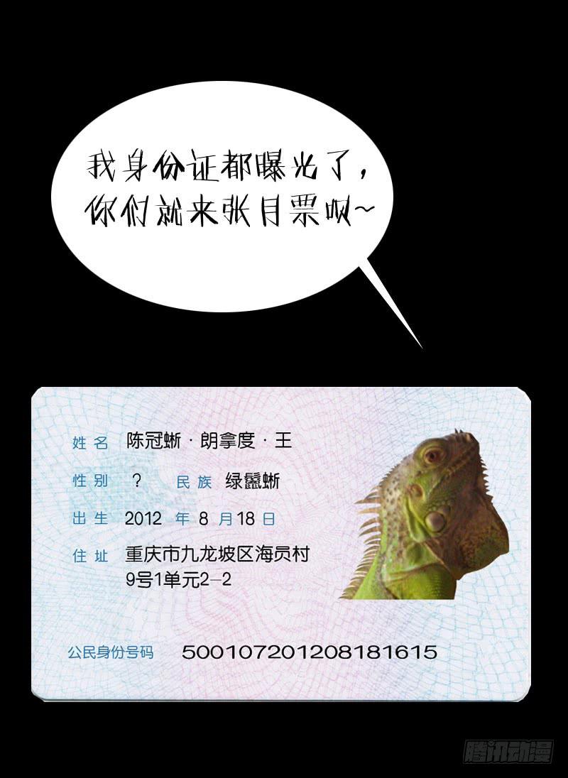 《我是废柴》4.白慧真身 第15页