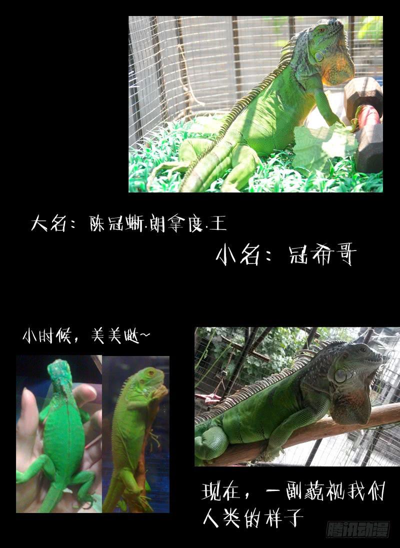 《我是废柴》4.白慧真身 第13页