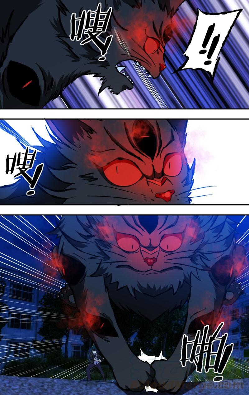 《我是废柴》65.猫咪本色 第1页