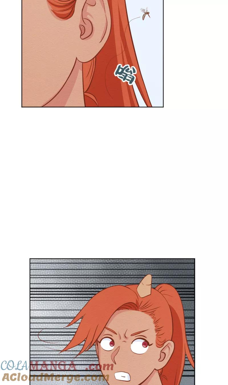 52.jpg
