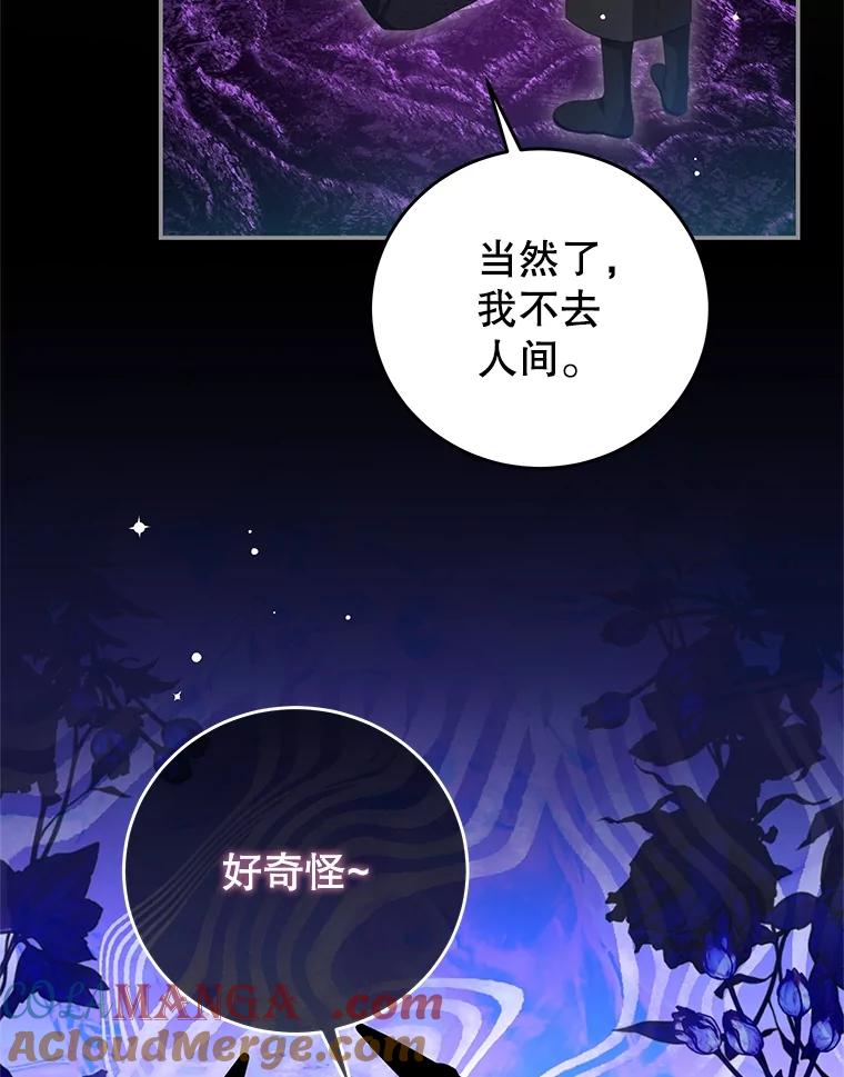 《我是男主的情敌》101.回收任务 第29页