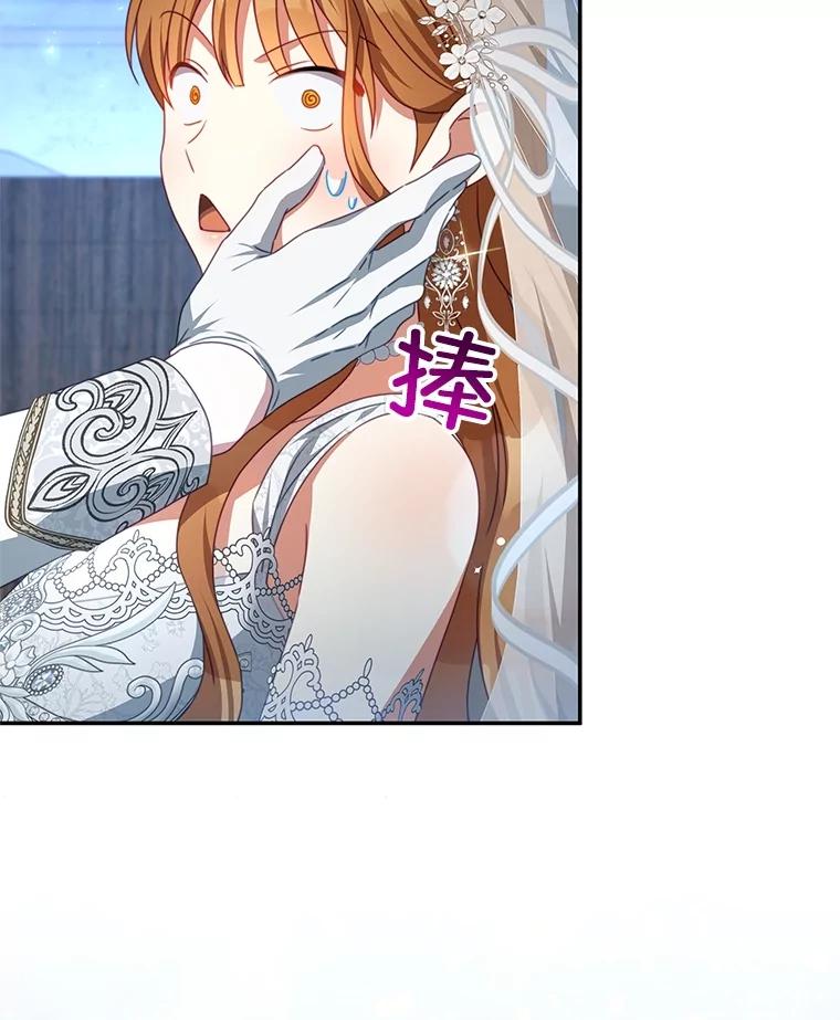 《我是男主的情敌》103.婚纱 第23页