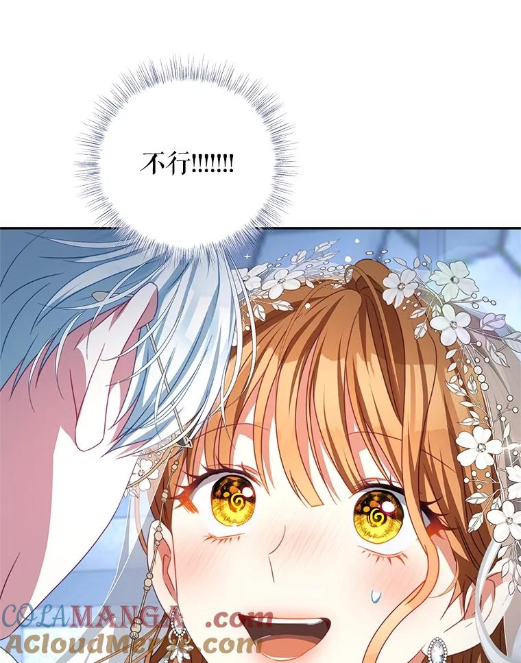 《我是男主的情敌》103.婚纱 第29页