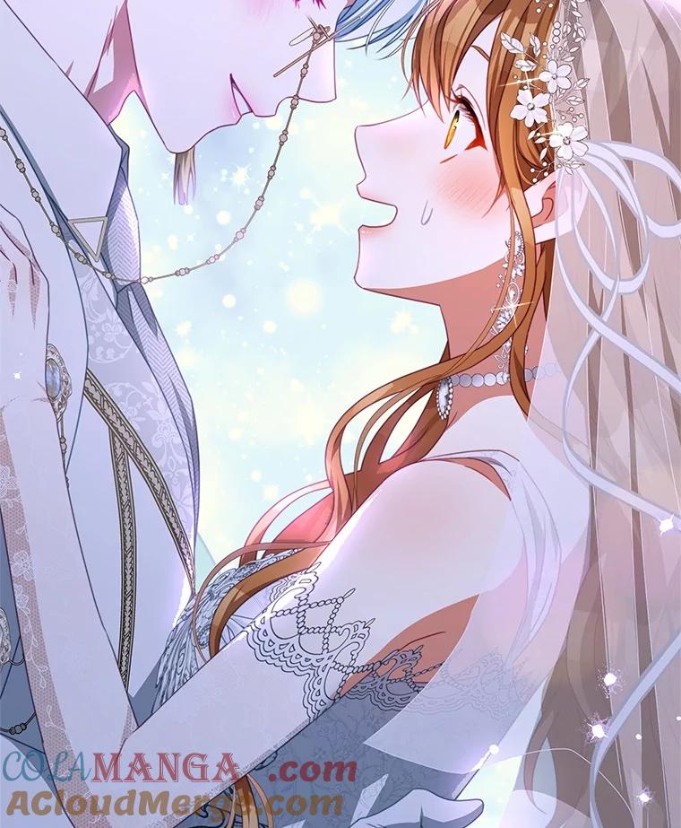 《我是男主的情敌》103.婚纱 第25页