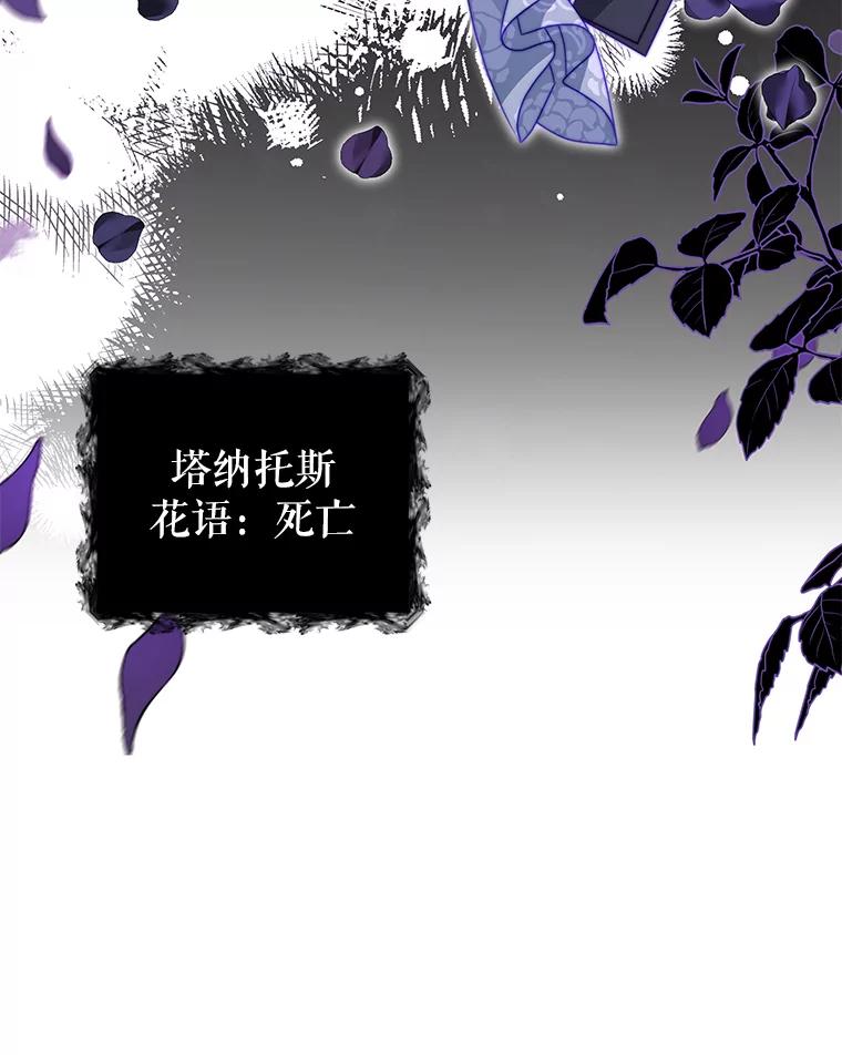 《我是男主的情敌》11.精灵 第83页