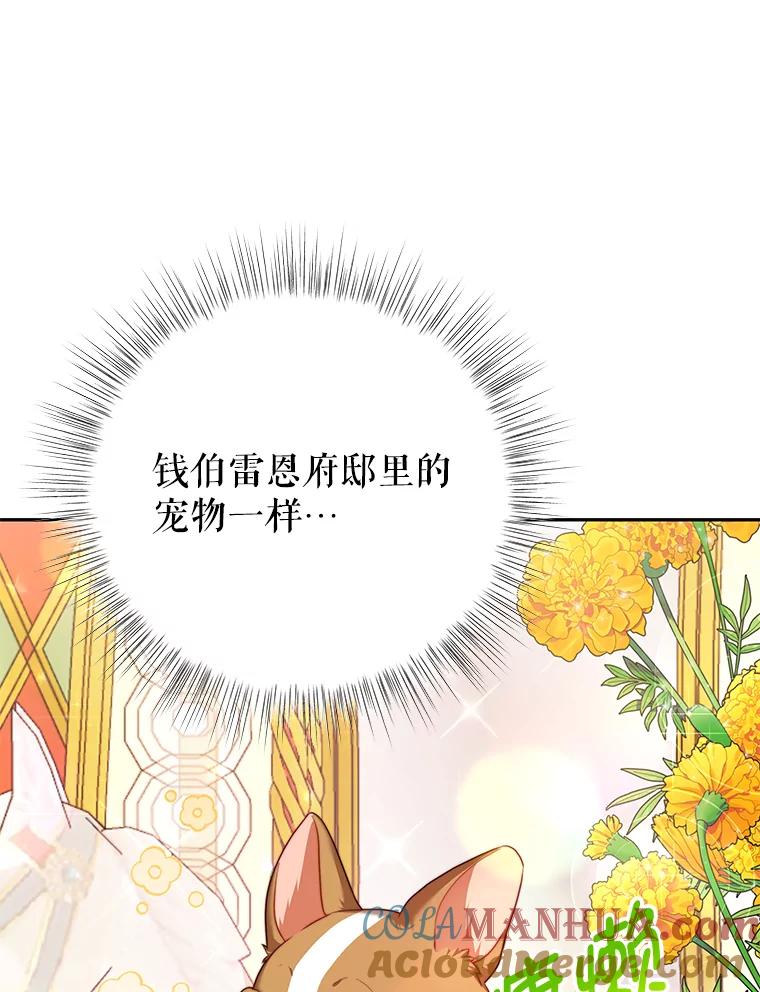 《我是男主的情敌》14.情敌？ 第73页