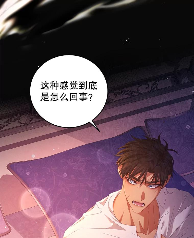 《我是男主的情敌》48.负责 第66页