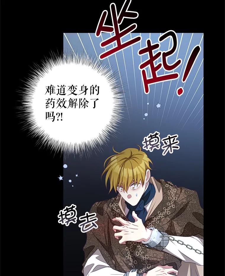 《我是男主的情敌》73.监狱 第26页