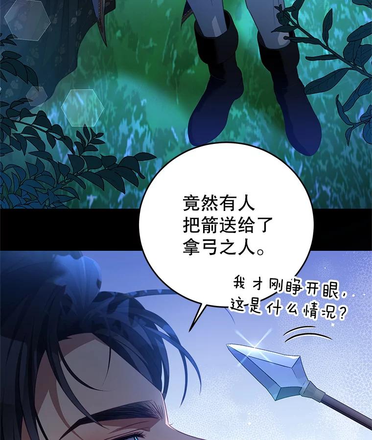 《我是男主的情敌》77.祭品 第62页