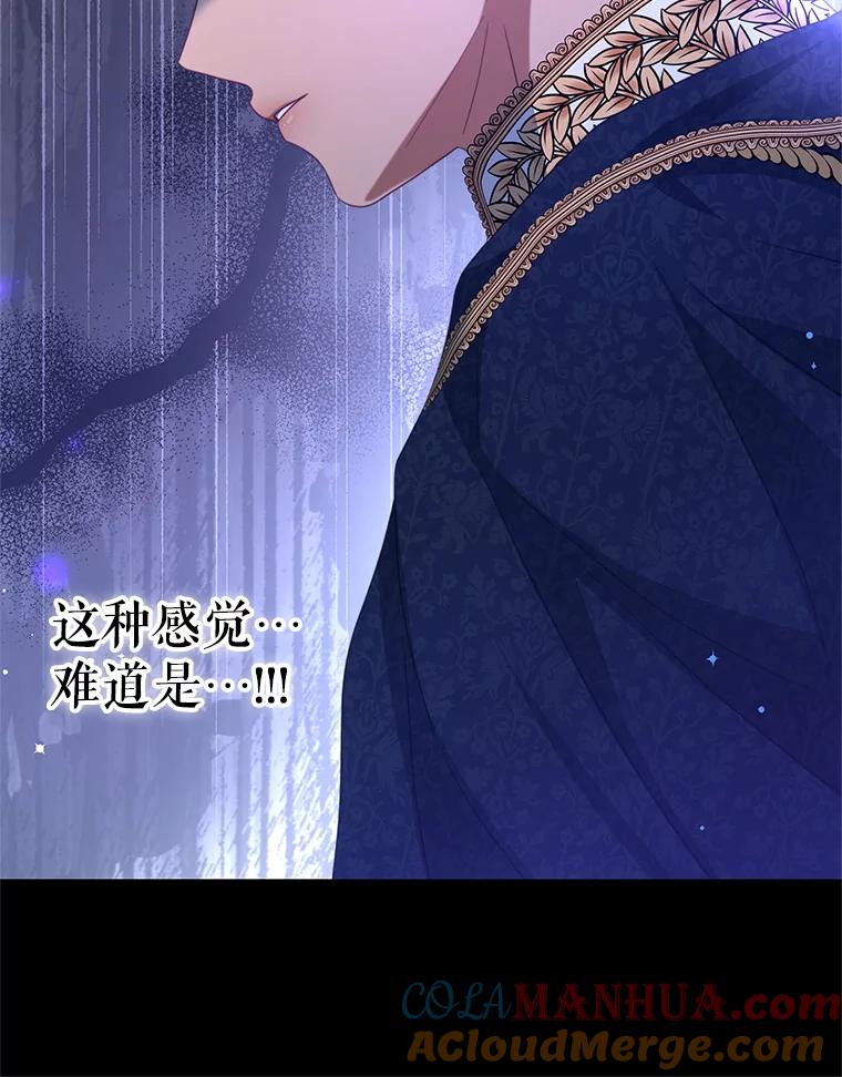 《我是男主的情敌》81.雷拉杰 第85页
