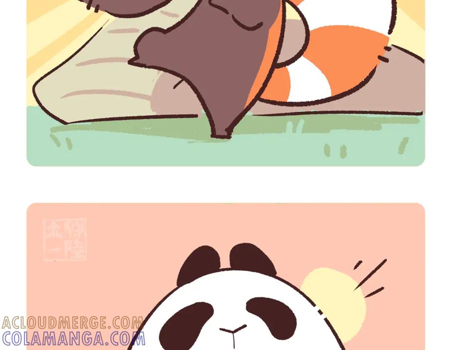 《胖达x胖达》第253话 第17页