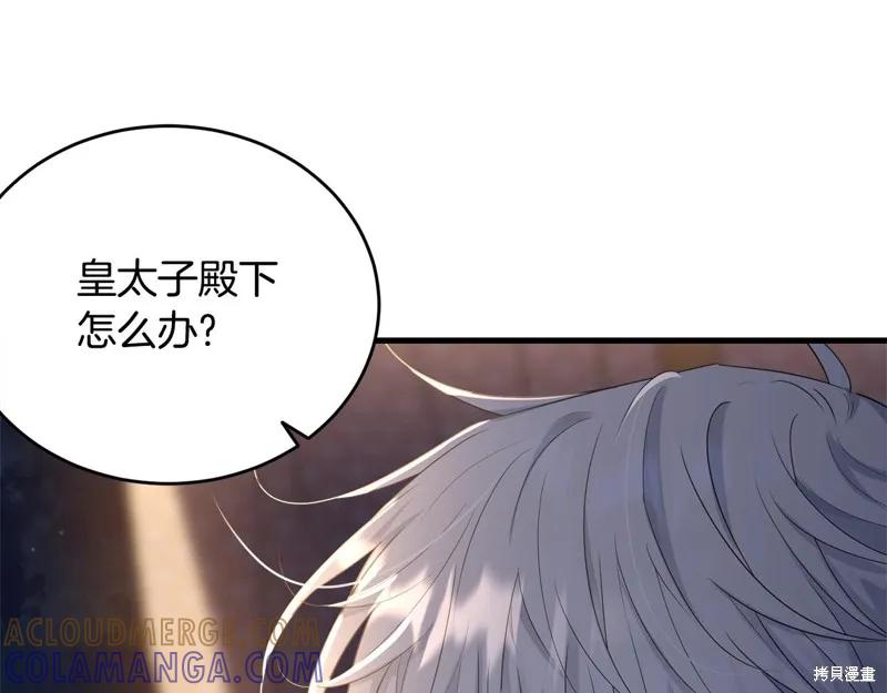 《明明是冷美人小姐却变成了忠犬大少爷》第73话 第49页