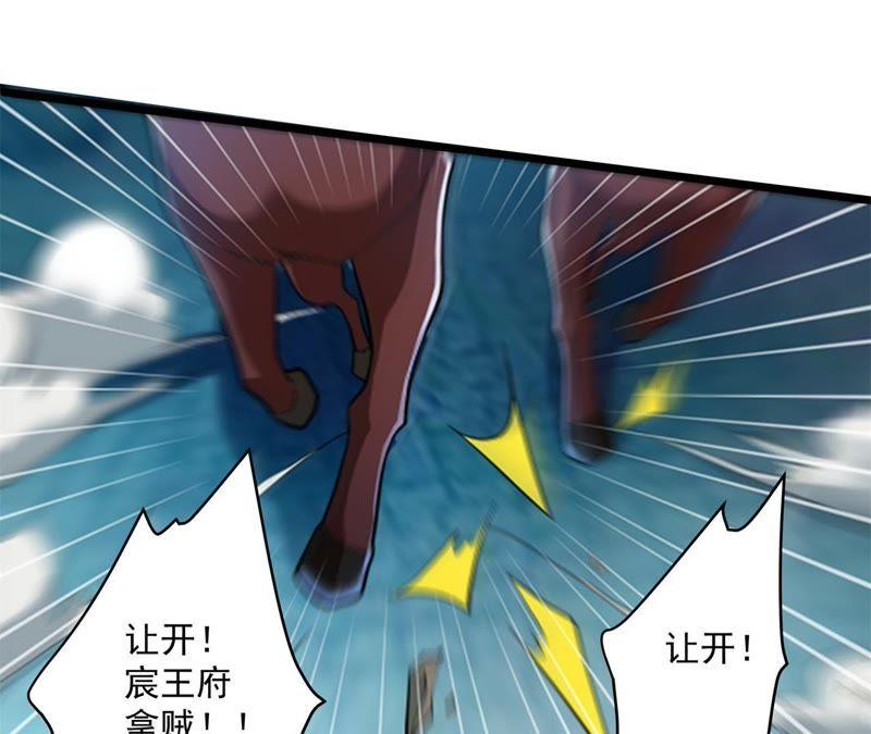 《我的男宠要翻墙》相见之前 第11页