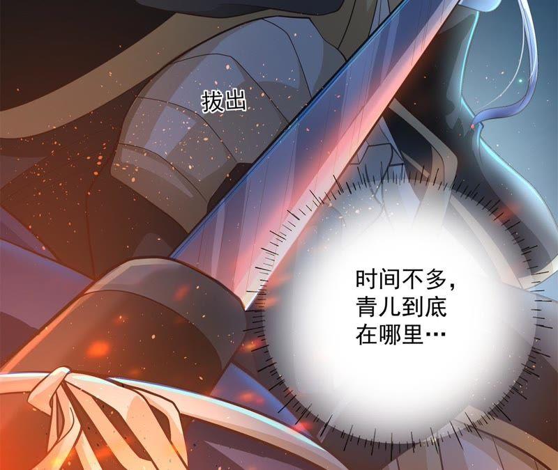 《我的男宠要翻墙》相见之前 第29页