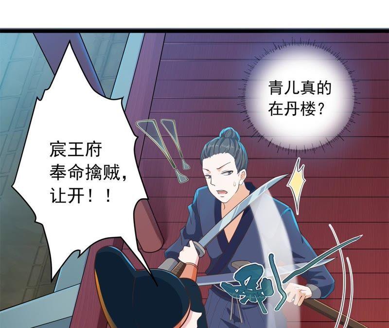 《我的男宠要翻墙》相见之前 第18页
