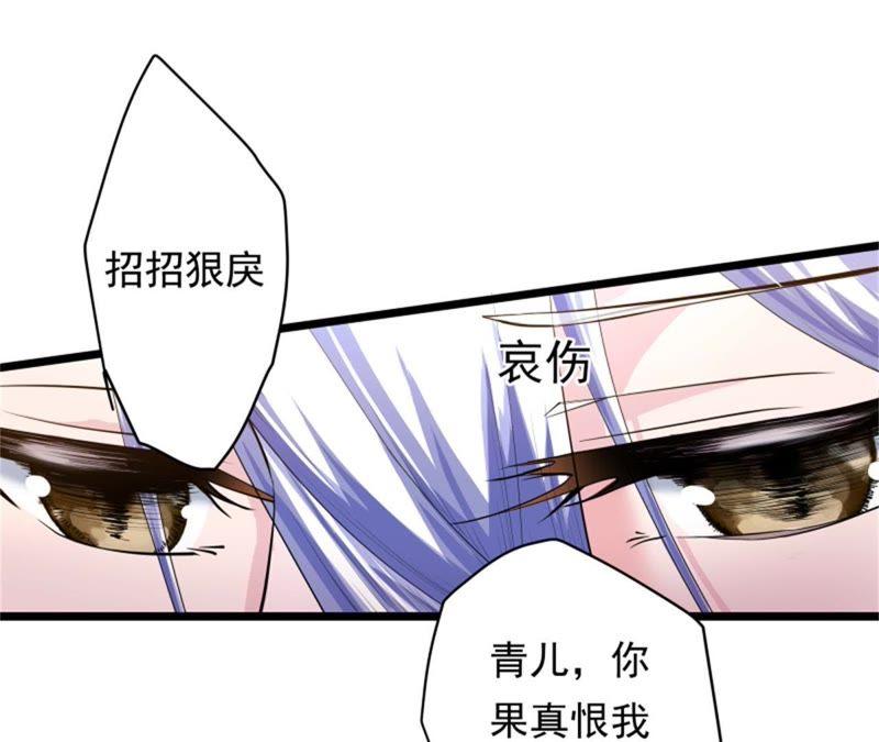《我的男宠要翻墙》兵戎相见 第33页