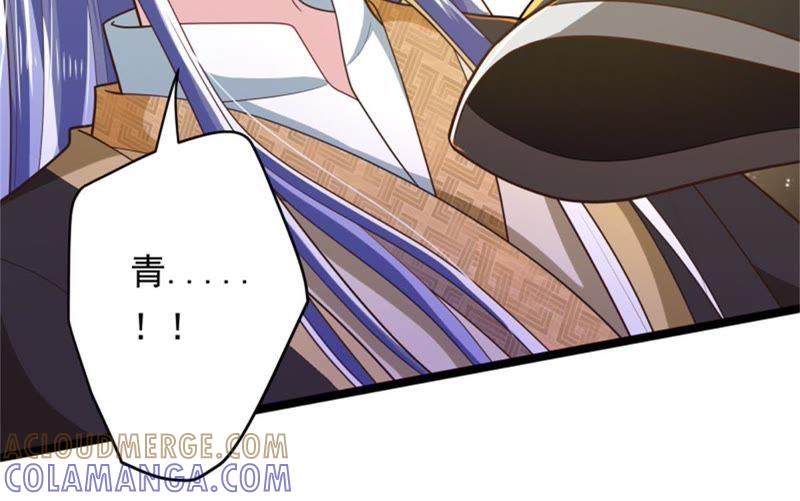 《我的男宠要翻墙》美人如花 第10页