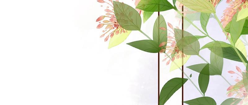 《女票芳龄30十》祁郁的打算 第17页