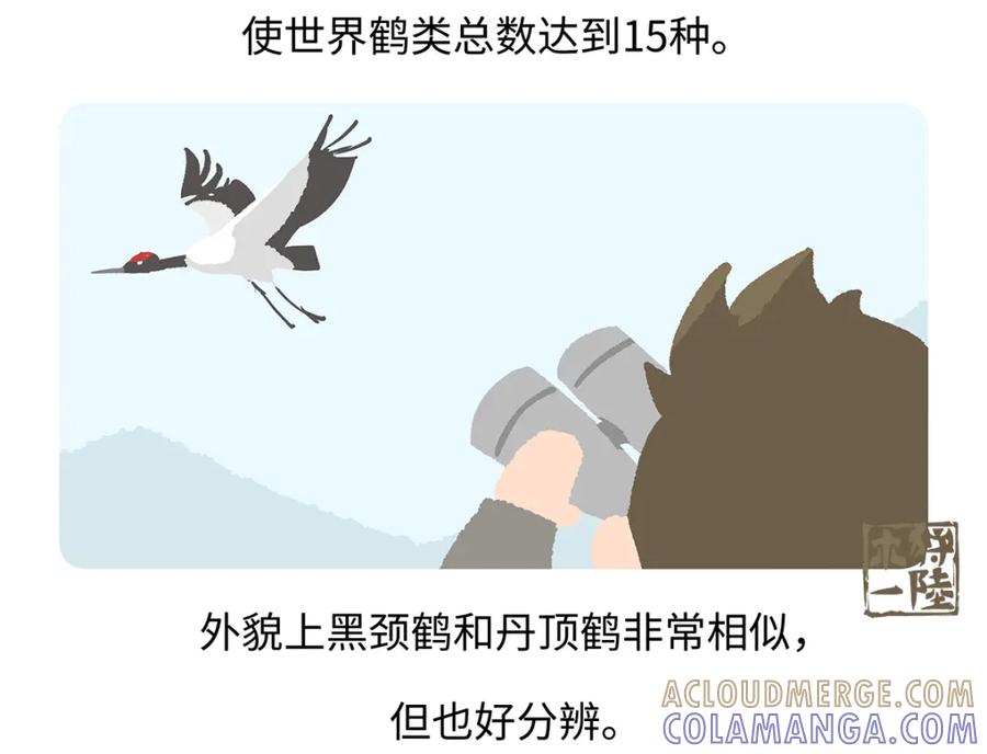 《胖达x胖达》第264话 第23页
