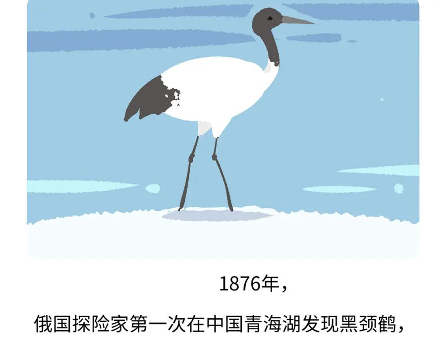 《胖达x胖达》第264话 第22页