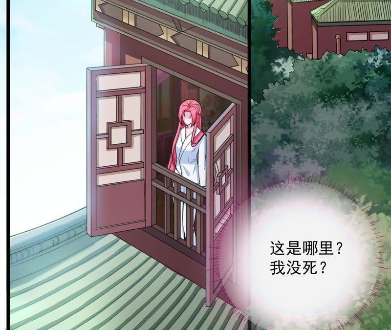 《我的男宠要翻墙》杀心初现 第29页