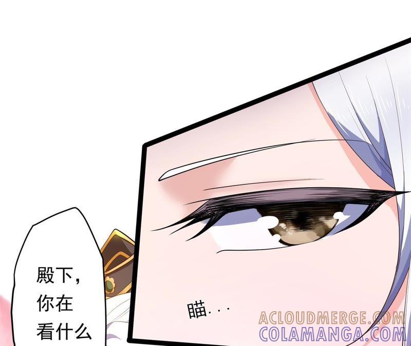 《我的男宠要翻墙》暗巷蜜语 第13页