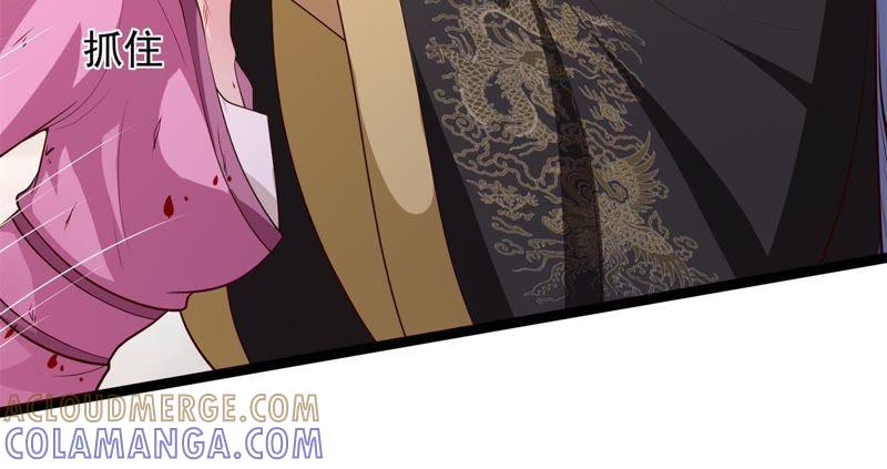 《我的男宠要翻墙》夜探王府 第25页