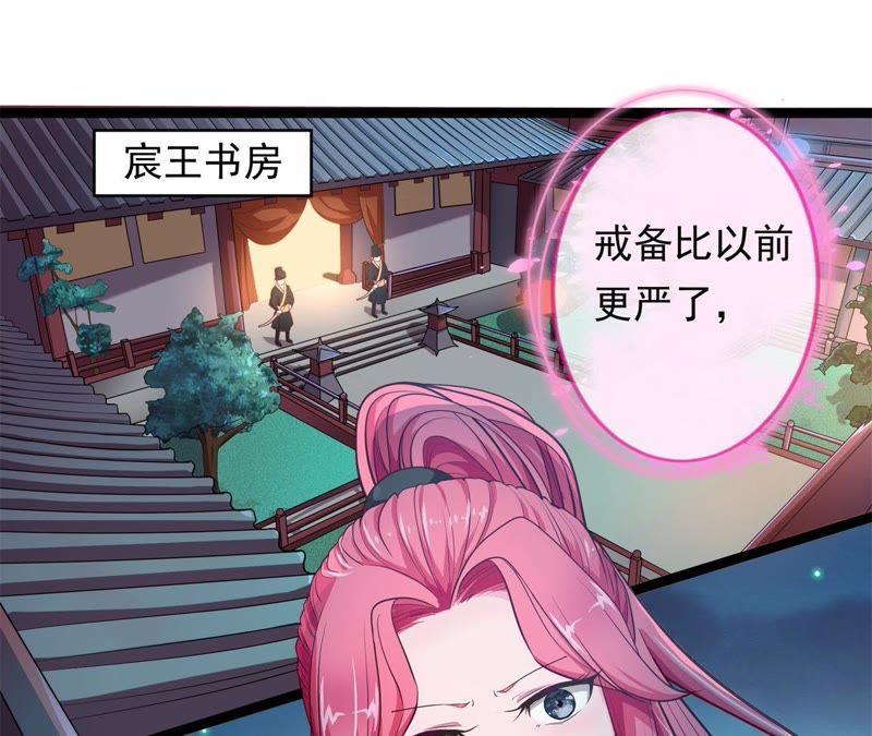 《我的男宠要翻墙》夜探王府 第12页