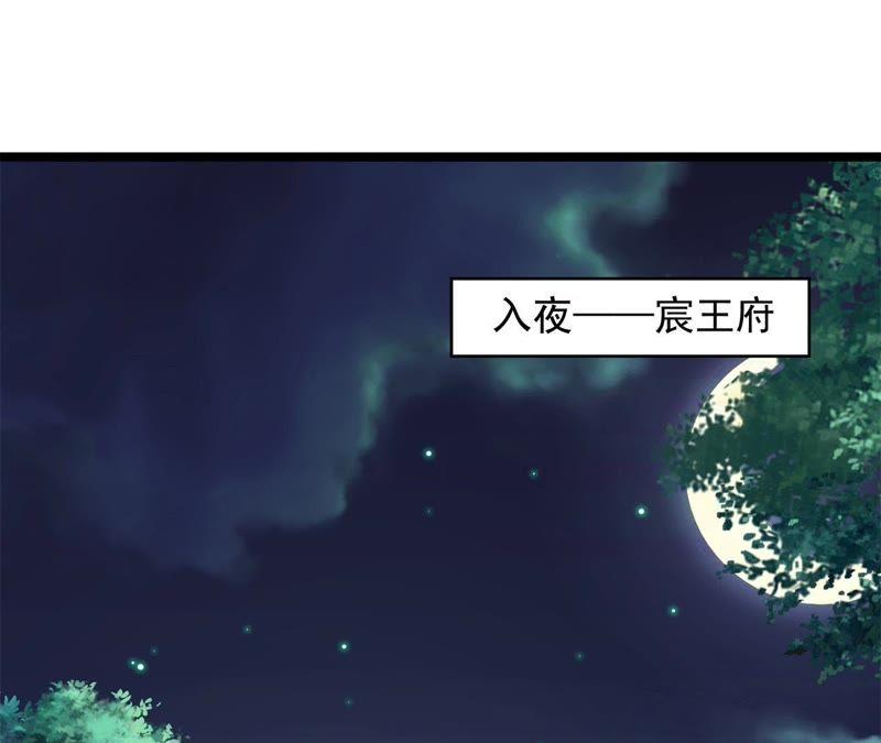 《我的男宠要翻墙》夜探王府 第9页