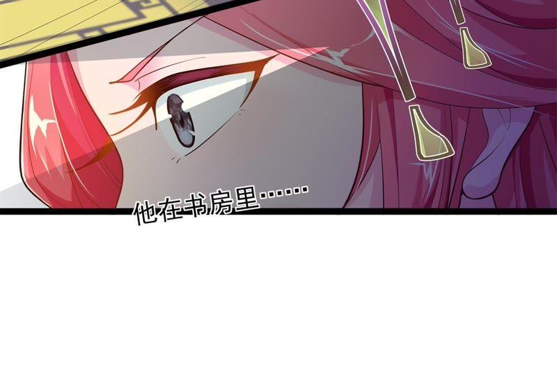 《我的男宠要翻墙》夜探王府 第17页