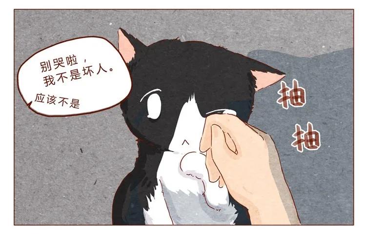 喂，看见耳朵啦 - 番外 跟你很熟吗 - 第11张图