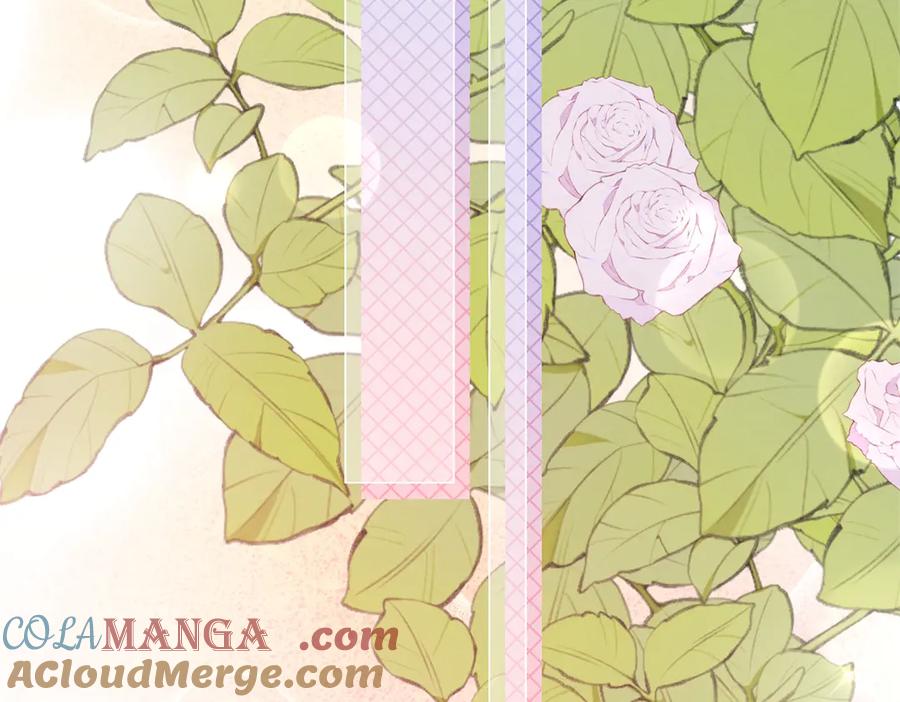 《和植物人大佬联姻》第37话 团宠苏晓梦 第133页