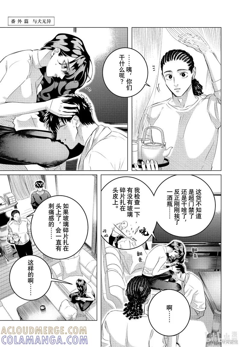 《愿来世为他人》番外篇 第11页