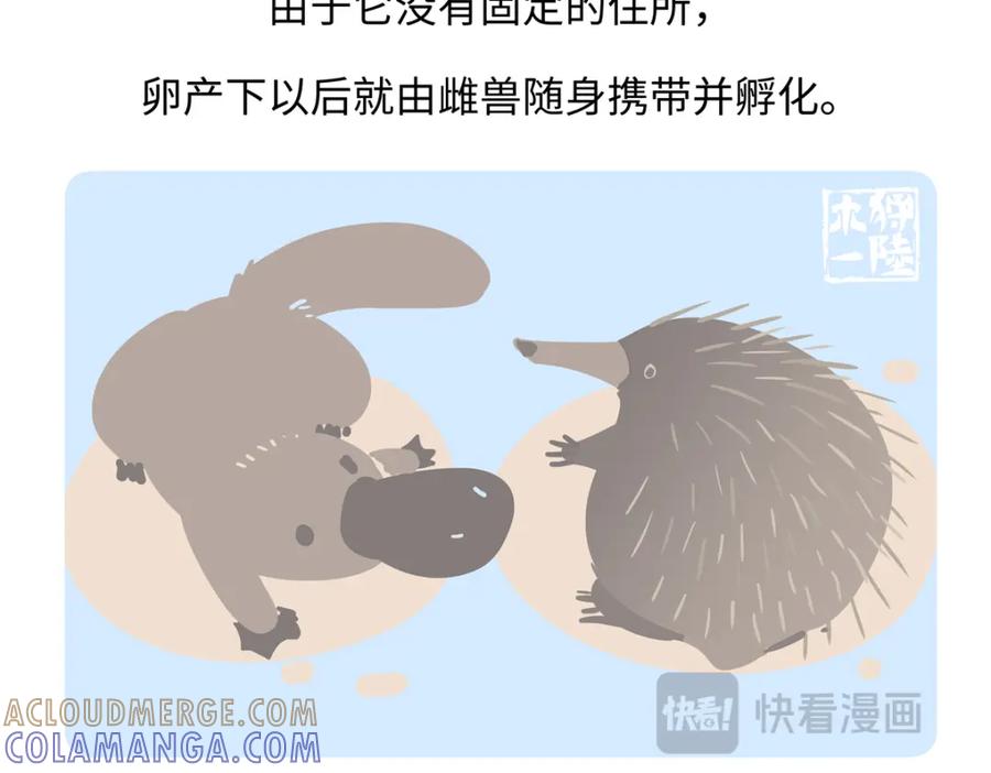 《胖达x胖达》第258话 第21页