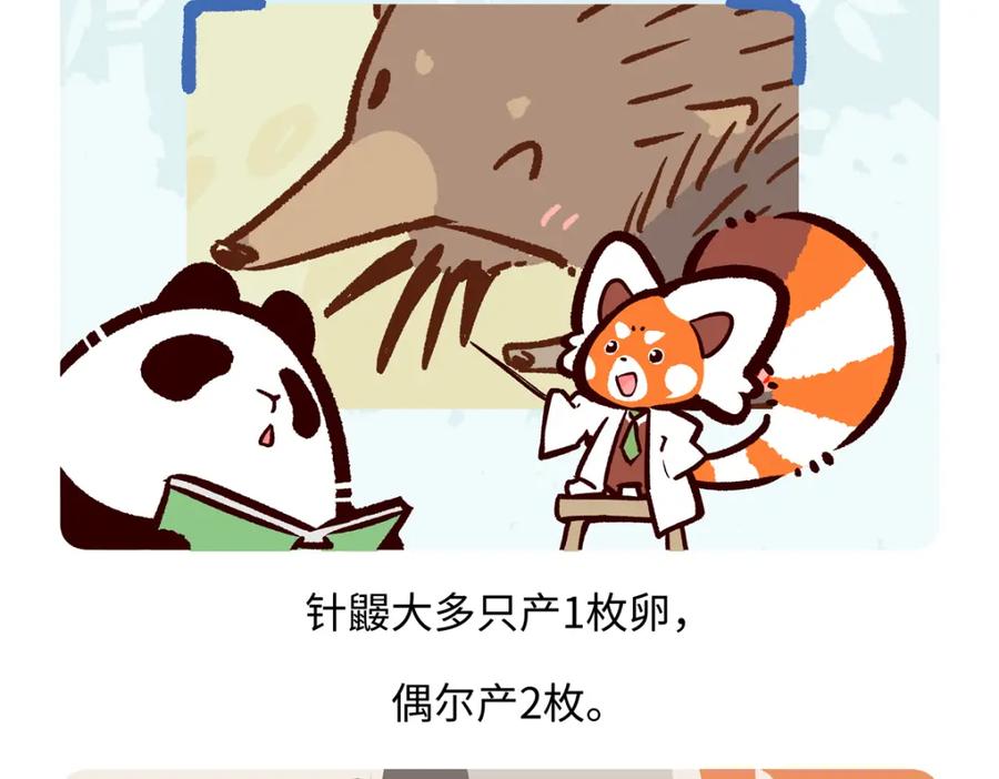 《胖达x胖达》第258话 第24页