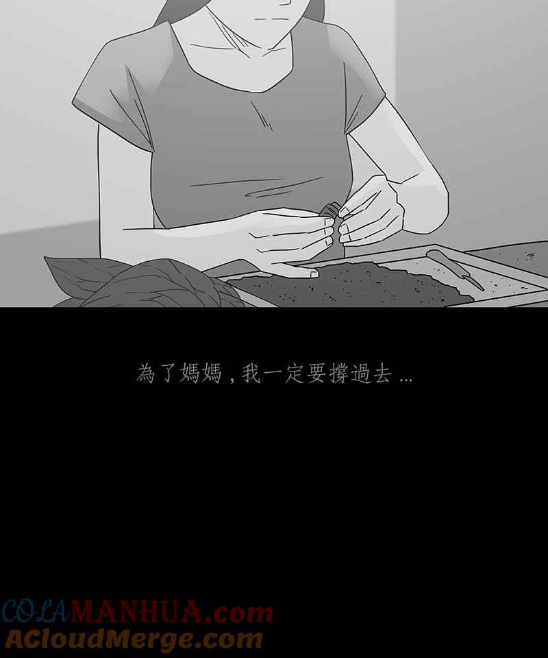 黑盒子 [第247话] 槟郎(1) 第39页